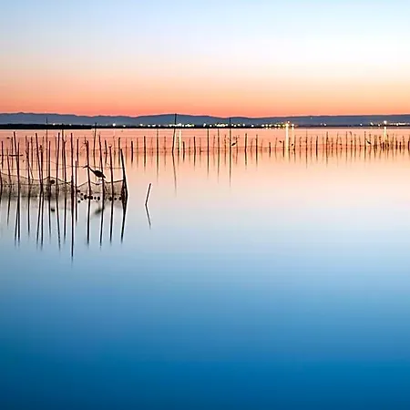 Ξενοδοχείο με διαμερίσματα Albufera Alfafar
