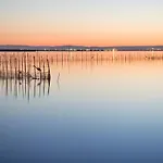 Albufera شقة فندقية 4*
